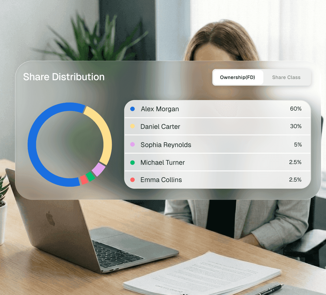 Cap table share distribution visual
